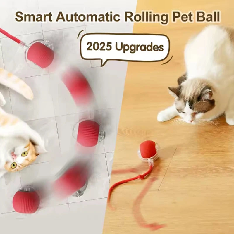 Self-satisfying Cat Toy