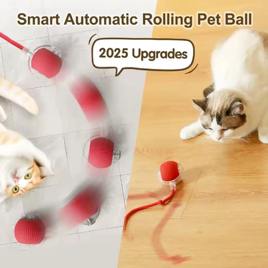 Self-satisfying Cat Toy