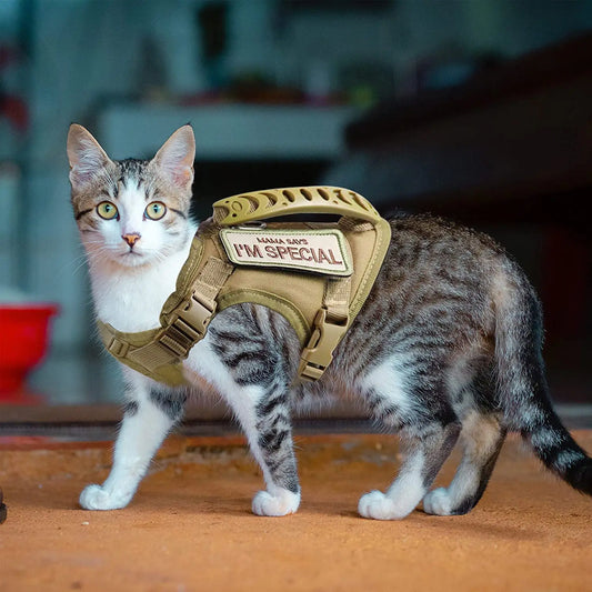 Tactical Walking Escape Proof Cat Harness