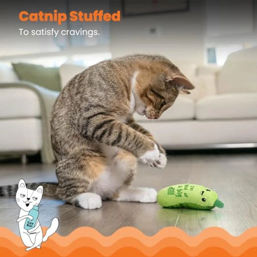 Plush Crinkle Toy with Catnip