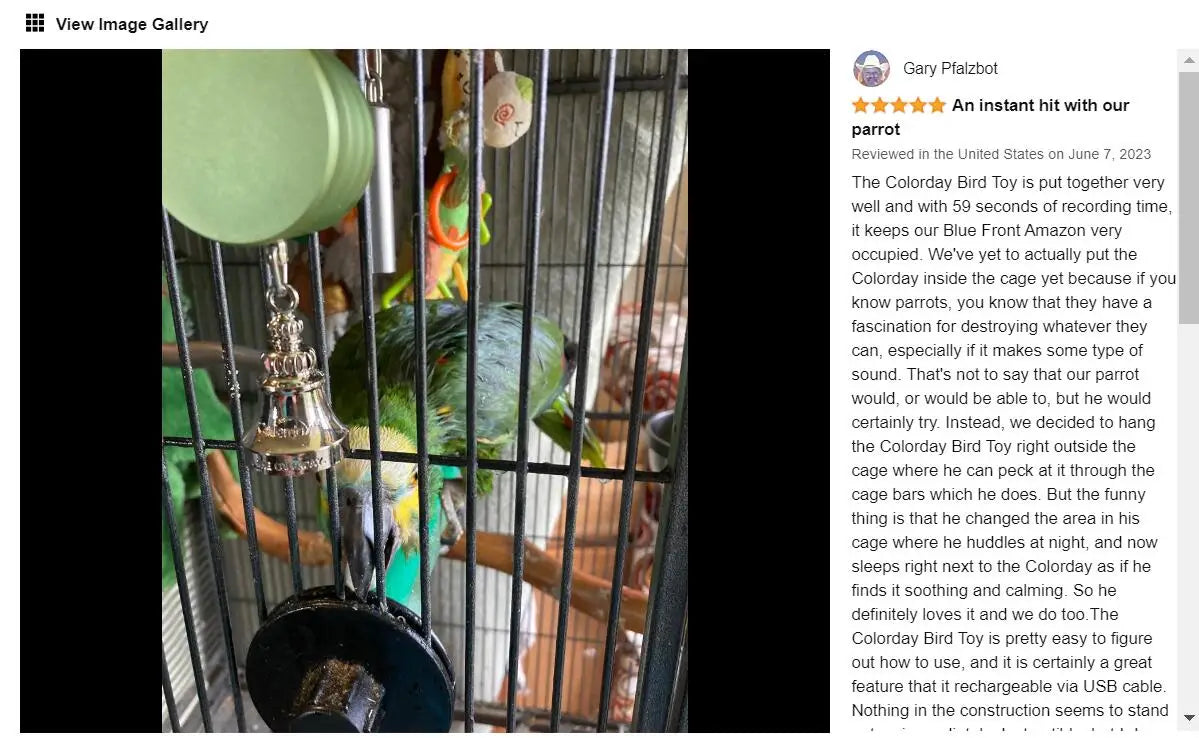 Parrot Teaching, Training Toys