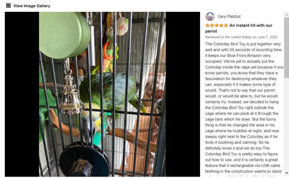 Parrot Teaching, Training Toys