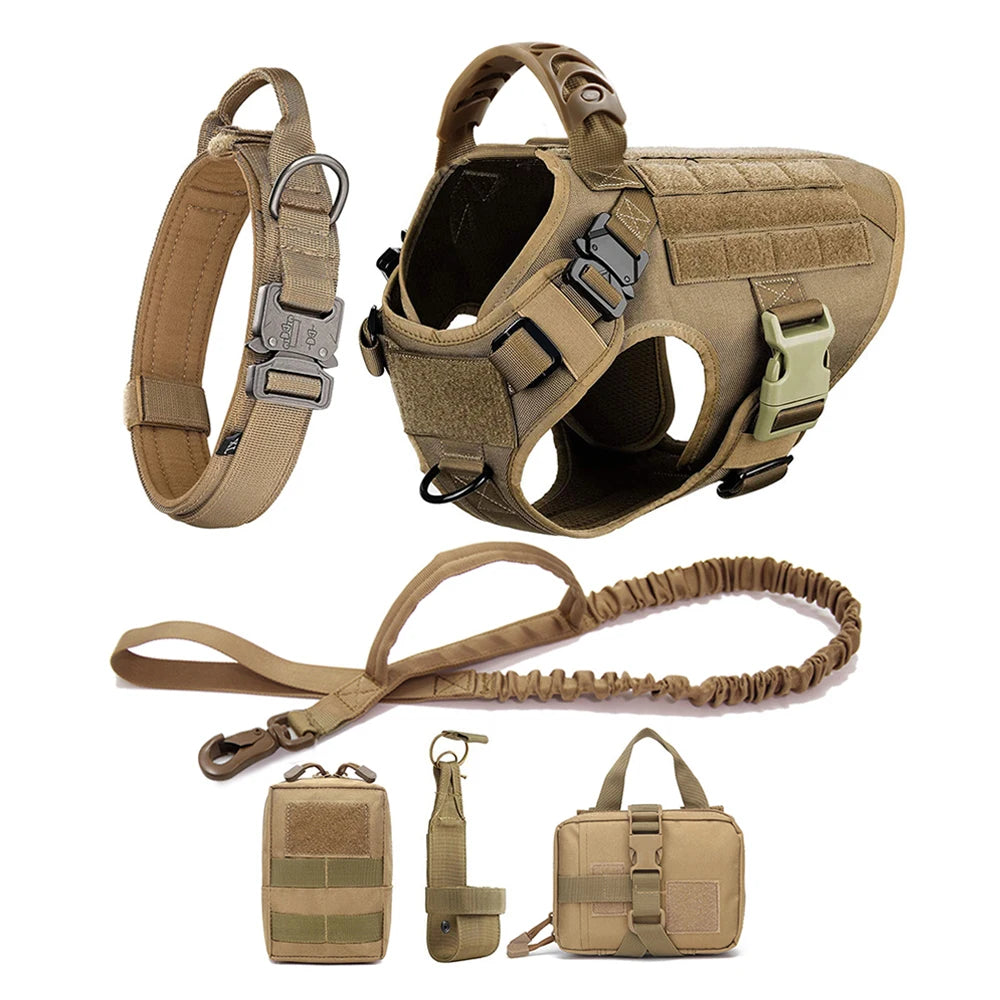 Med/Lg Harness, Leash Set for Walking and Training