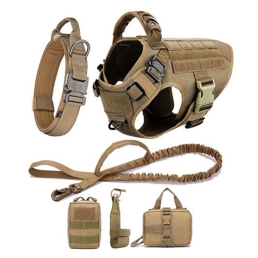 Med/Lg Harness, Leash Set for Walking and Training
