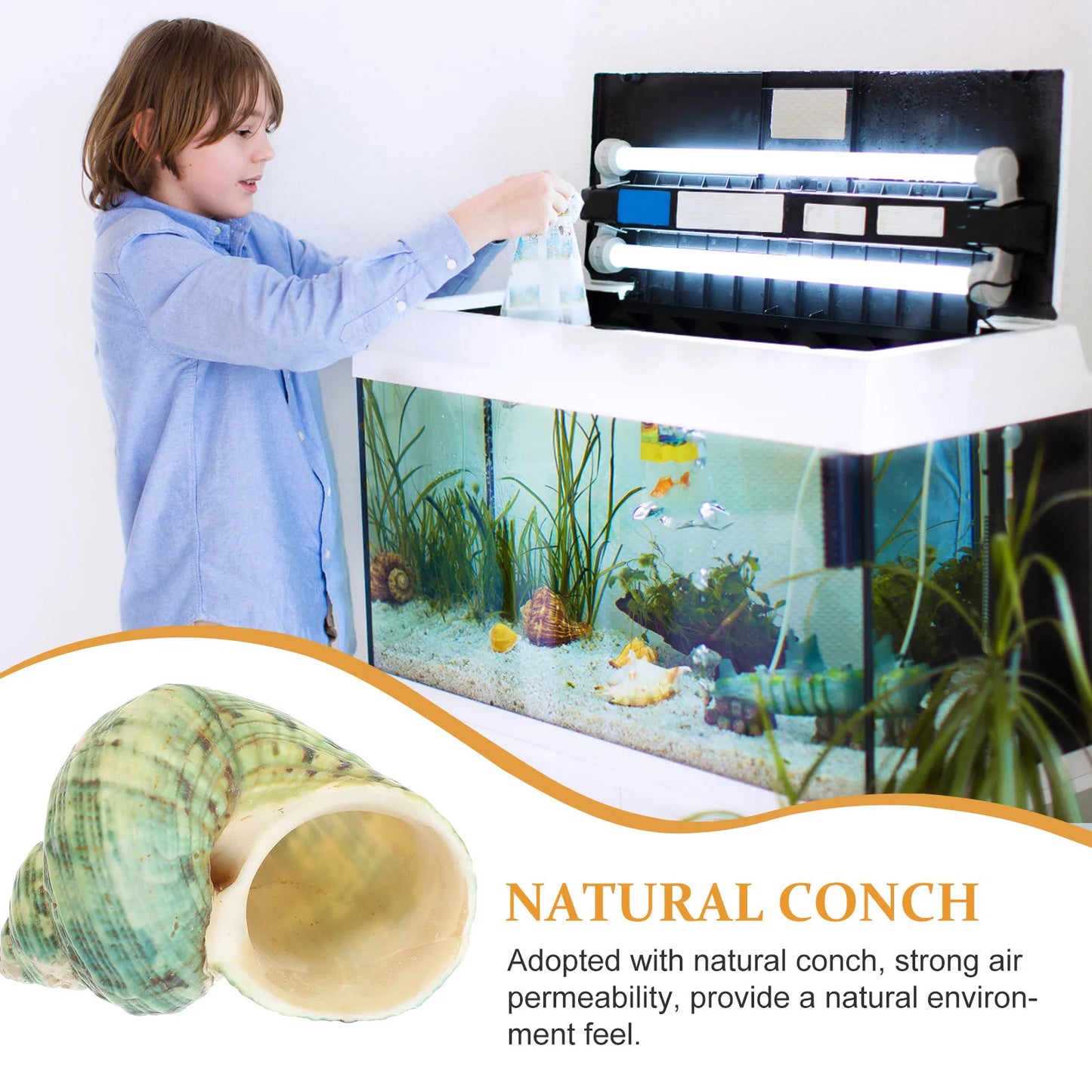 10Pcs Aquarium Natural Conch Hermit Crab Shells