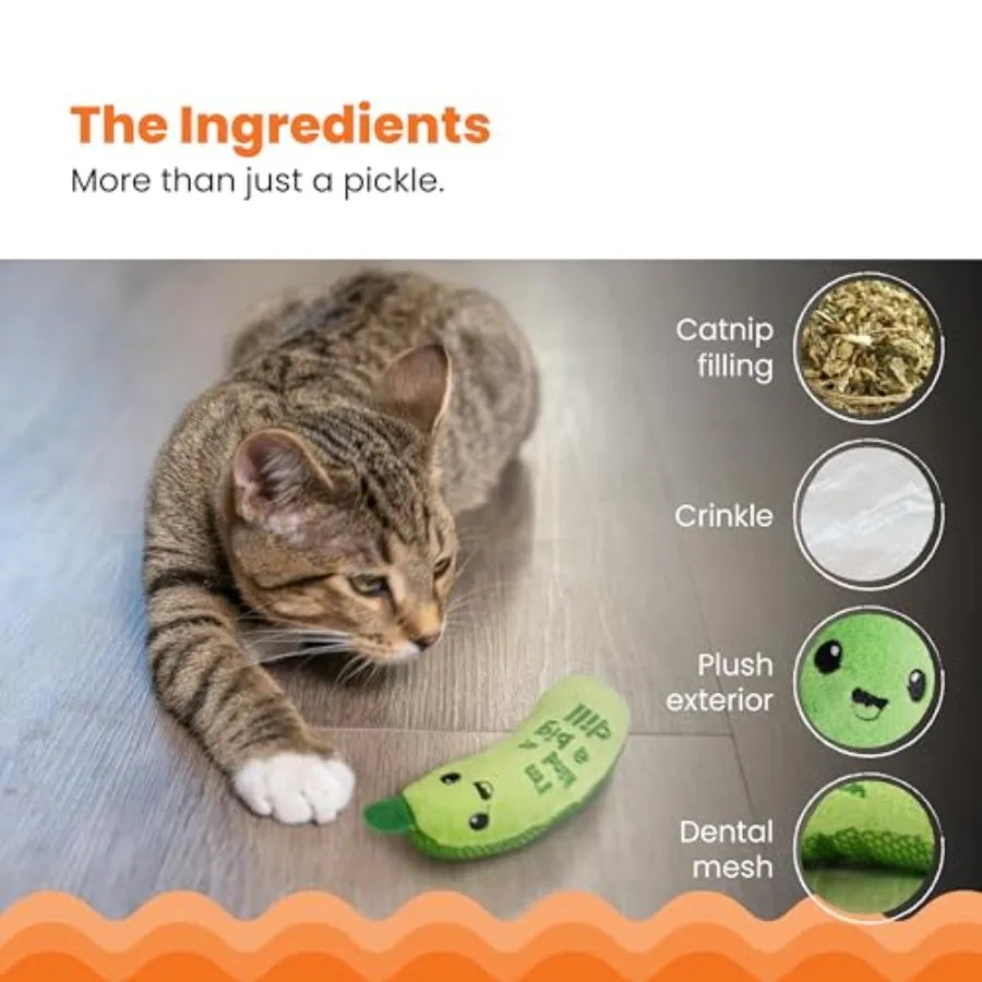 Plush Crinkle Toy with Catnip
