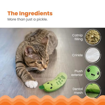 Plush Crinkle Toy with Catnip