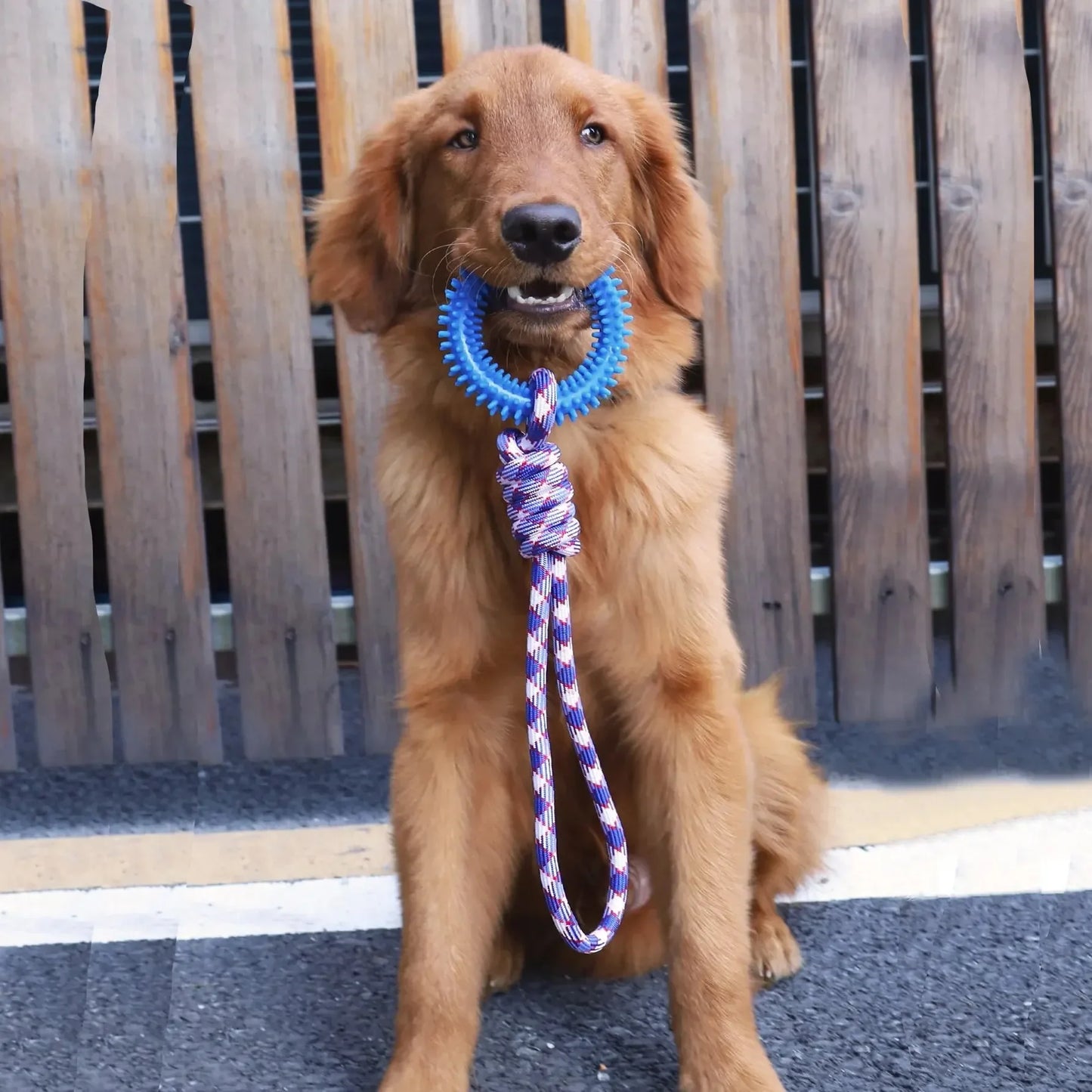 Colorful Chew Resistant Nylon Rope Toy